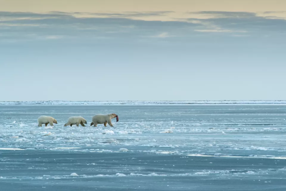 Arctic National Wildlife Refuge